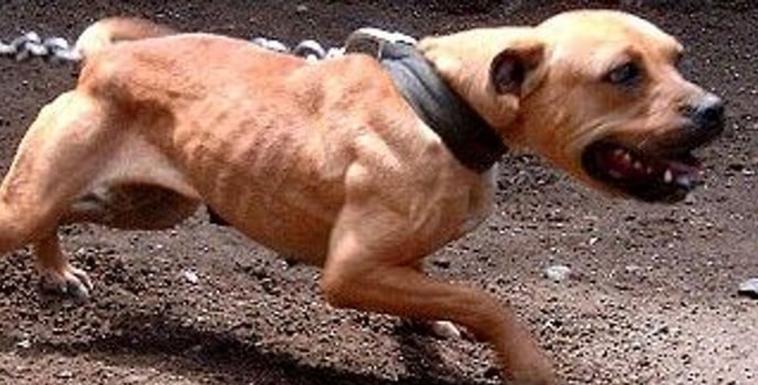 Random APBT
